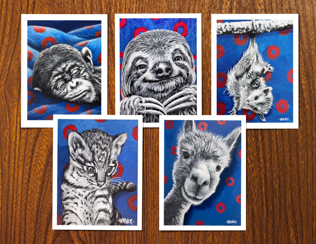 Baby Animal Print Bundle (5X) 8.5X11