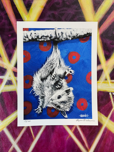 Baby Possum Print 8.5X11